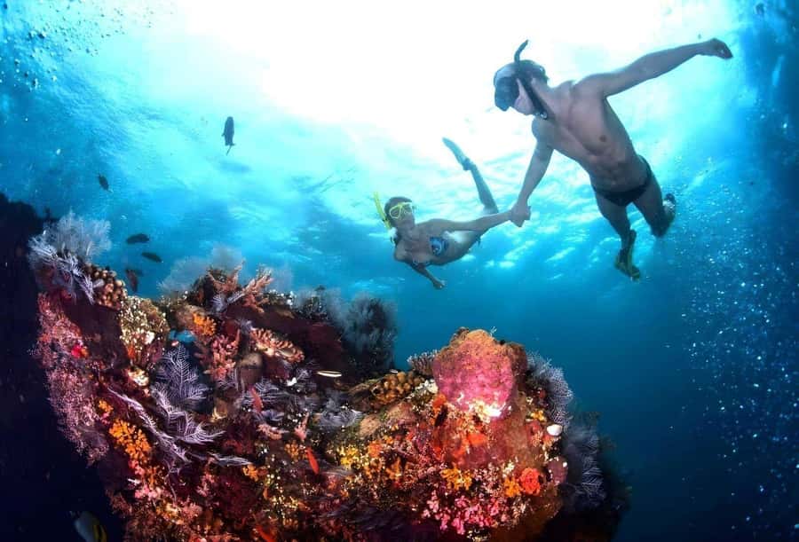 Bali: Blue Lagoon Snorkeling with Lunch & Transport - Blue Lagoon: the first look at Bali underwater