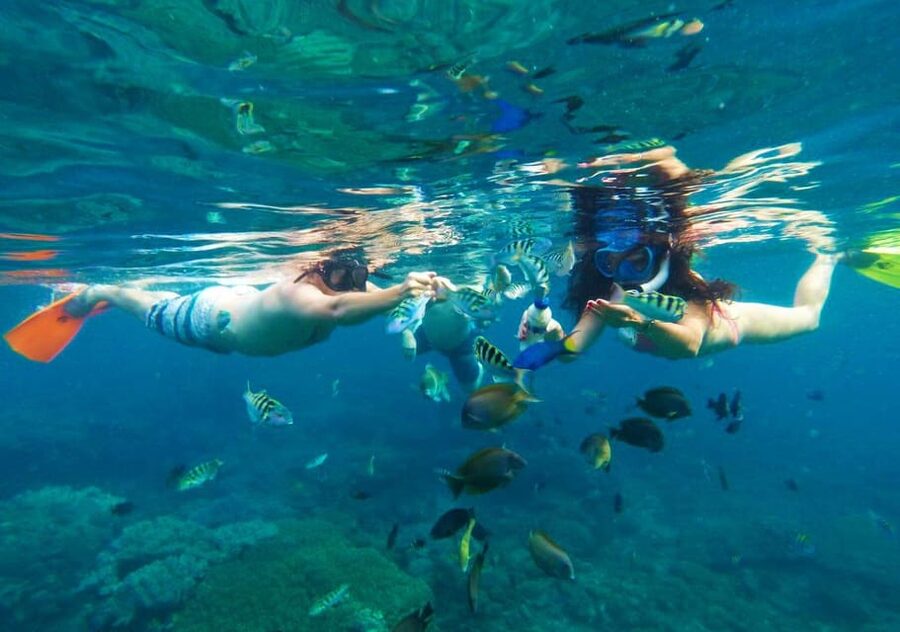 Bali: Blue Lagoon Snorkeling with Lunch & Transport - Boat transfers, equipment, and the practical facilities