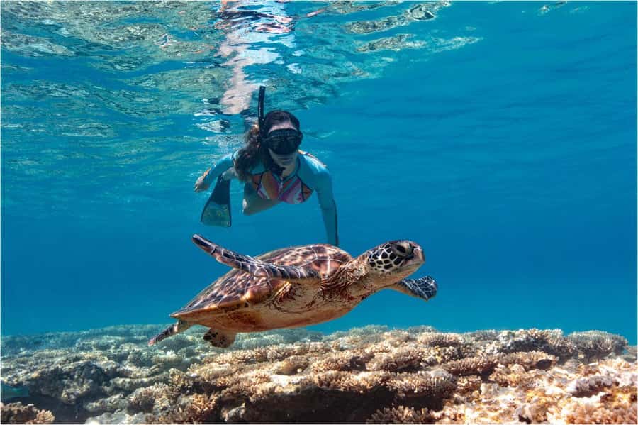 Bali: Blue Lagoon Snorkeling with Lunch & Transport - Starting with hotel pickup in Bali