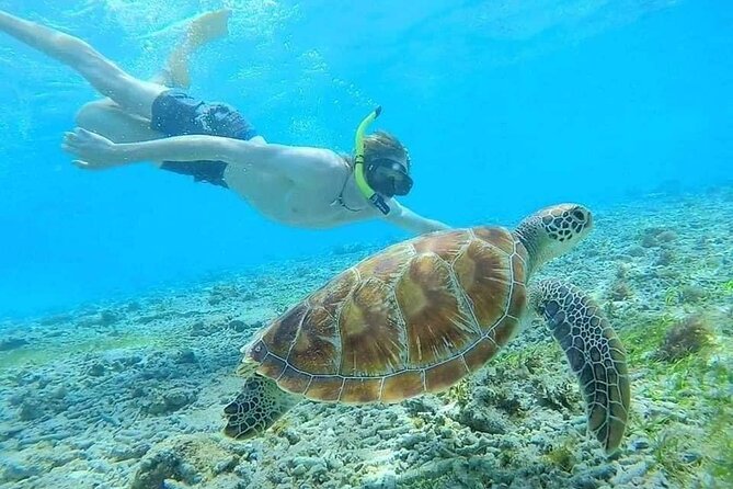 Bali Blue Lagoon Snorkeling with Private Transfer & Lunch - Adding Tibumana and Kanto Lampo waterfalls