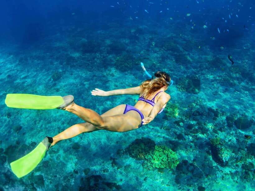 Bali: Blue Lagoon & Tanjung Jepun Snorkeling & lunch - Key points at a glance