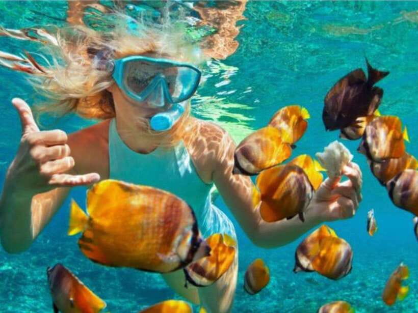 Bali: Blue Lagoon & Tanjung Jepun Snorkeling & lunch - Two snorkeling spots, two different moods