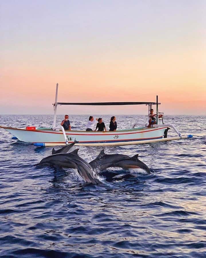 Bali: Dolphin Watching, Snorkeling, and Munduk Day Tour - Why the Lovina sunrise is worth the early start