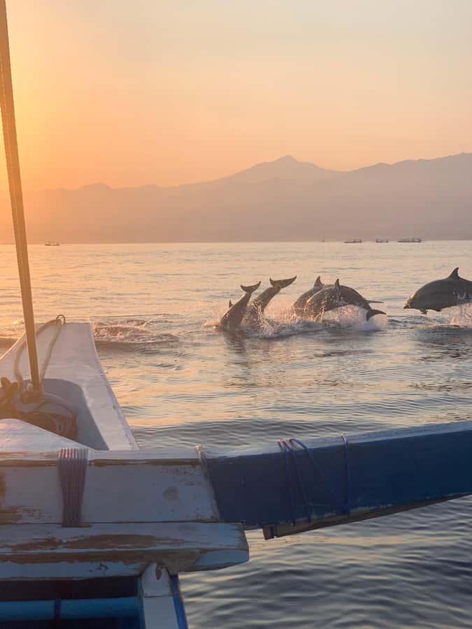 Bali: Dolphin Watching, Snorkeling, and Munduk Day Tour - Brahmavihara Arama brings a quiet change of pace