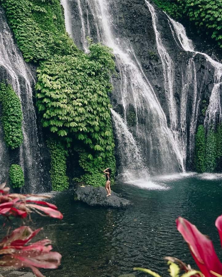 Bali: Dolphin Watching, Snorkeling, and Munduk Day Tour - Who should book this Bali tour?