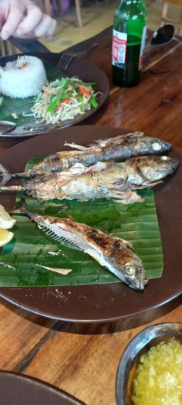 Bali : Fishing Trip & Blue lagoon Snorkeling : All Inclusive - Is $70 good value?