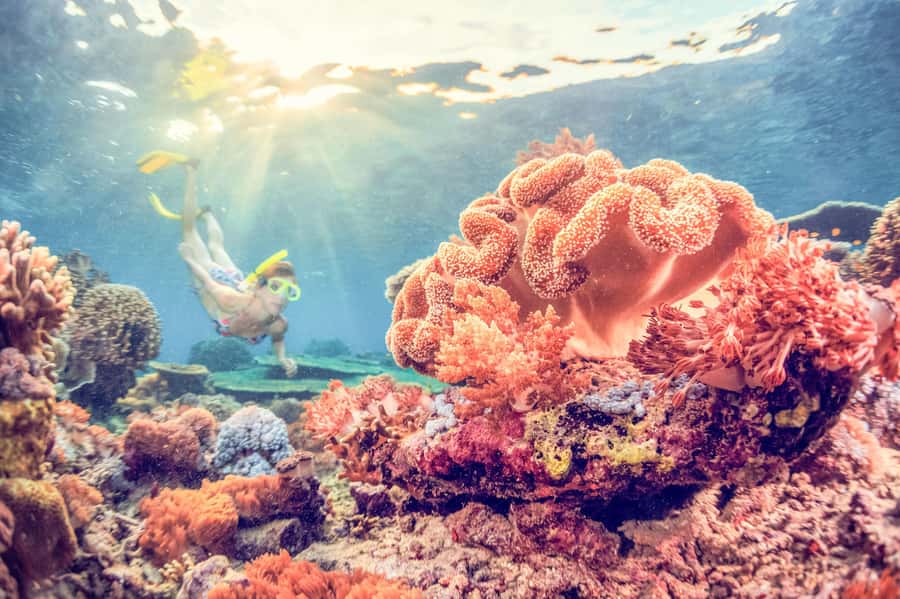 Bali: Full-Day Snorkeling Trip to Nusa Penida & Manta Point - Your first snorkeling session at Manta Point