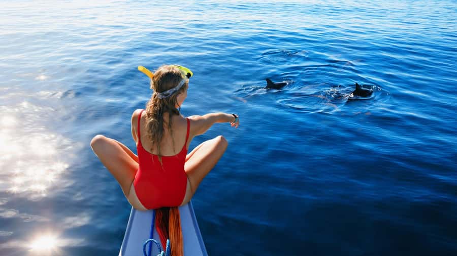 Bali/Lovina: Dolphin Snorkeling, Swimming & Waterfall Tour - Key points to know before booking