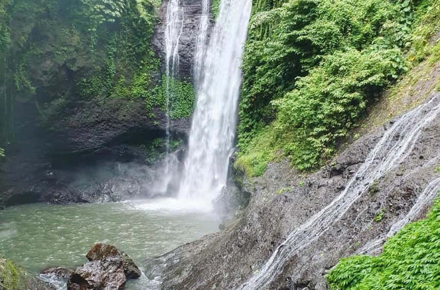 Bali/Lovina: Dolphin Snorkeling, Swimming & Waterfall Tour - Who should book this Lovina tour?