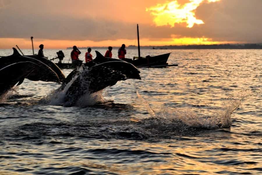 Bali/Lovina: Dolphin Snorkeling, Swimming & Waterfall Tour - The plank activity is not quite swimming with dolphins