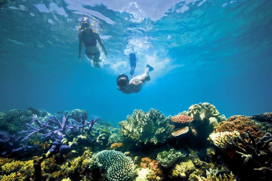 Bali/Lovina: Dolphin Snorkeling, Swimming & Waterfall Tour - Handara Gate, Twin Lakes, and Ulundanu Beratan