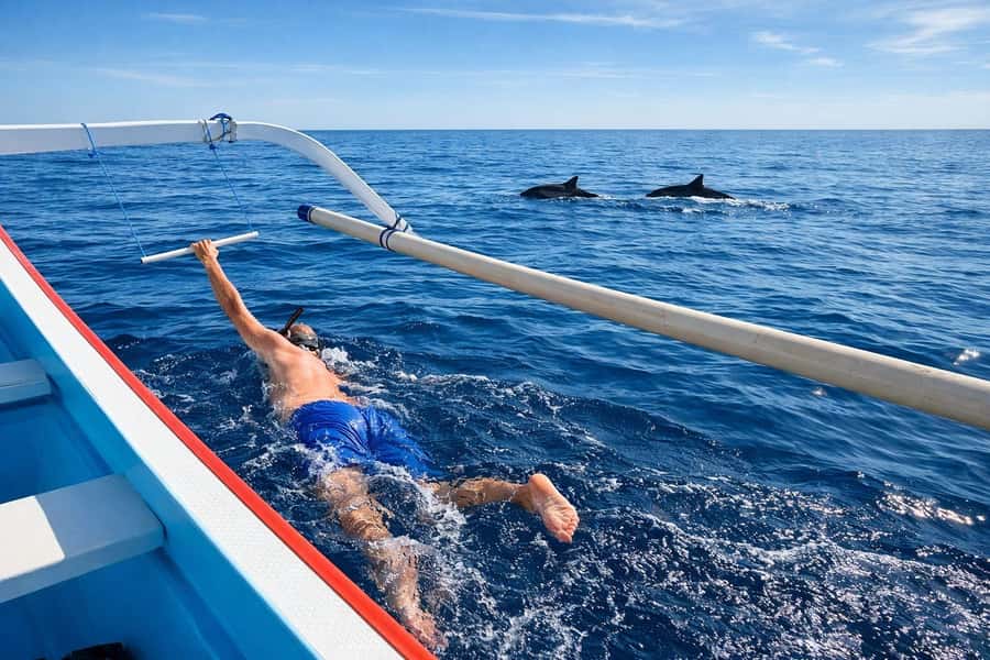 Bali/Lovina: Guided Dolphin Watching & Sunrise Boat Snorkel - Swimming beside the dolphins