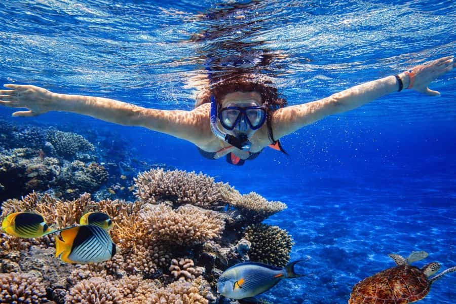Bali/Lovina: Guided Dolphin Watching & Sunrise Boat Snorkel - How the long Bali transfer changes the day