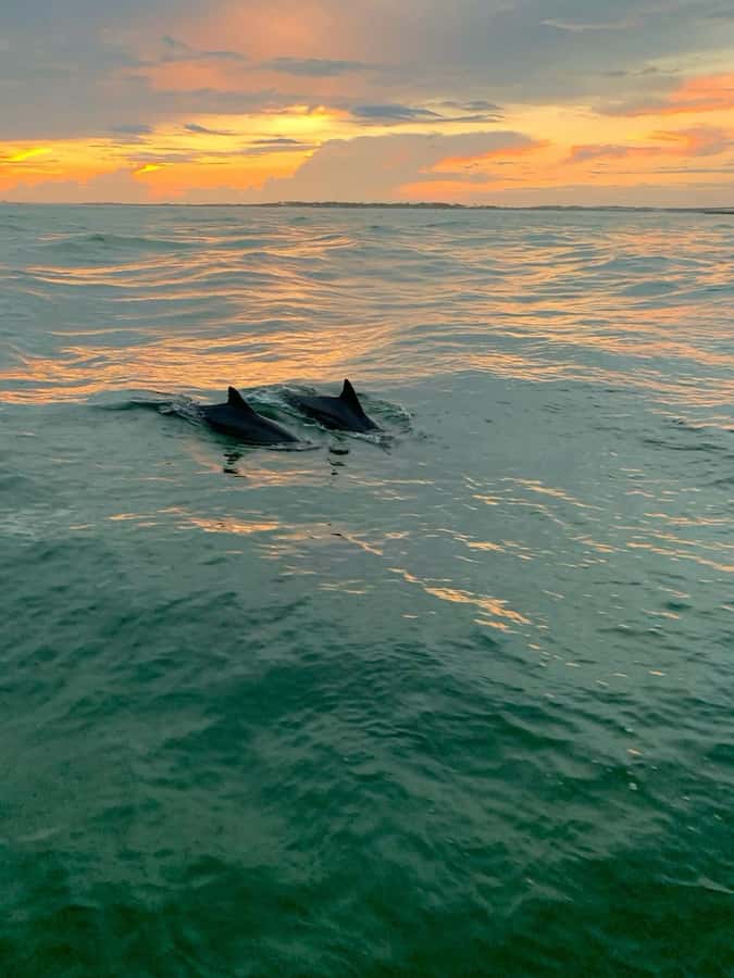 Bali: Lovina Sunset Tour with Snorkeling Experience - Guides, captains, and the private-group option
