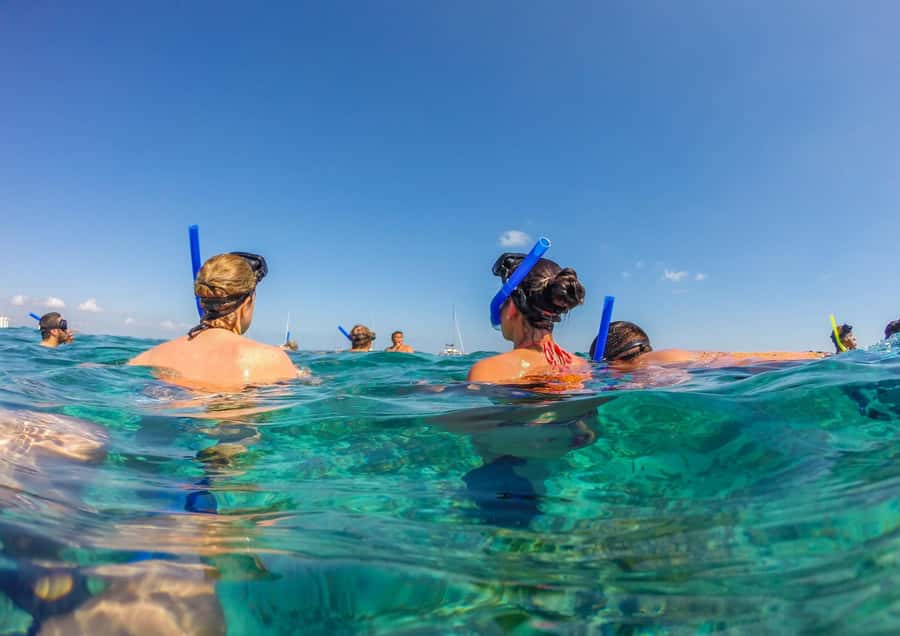 Bali/Nusa Dua: Snorkeling, Glass Boat Ride & Turtle Center - One hour over Nusa Dua’s coral