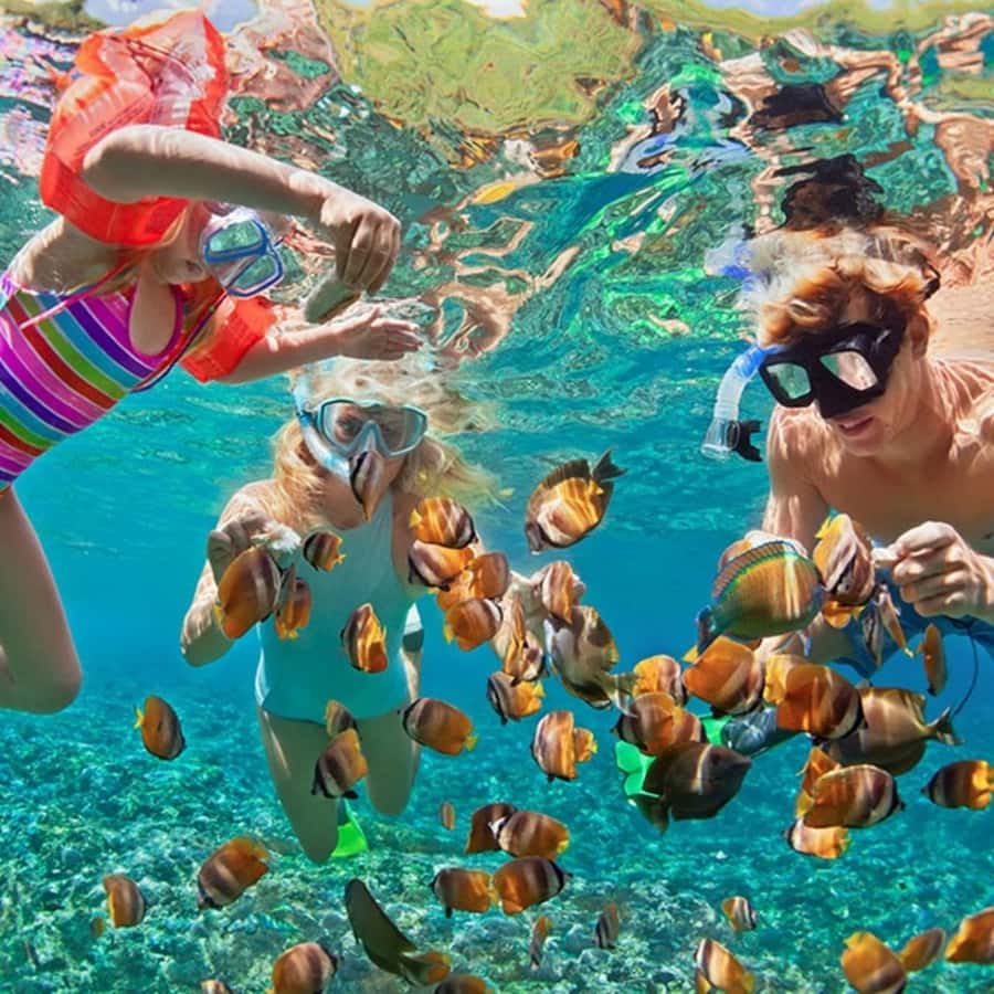 Bali/Nusa Dua: Snorkeling, Glass Boat Ride & Turtle Center - Turtle Island and its simple conservation center