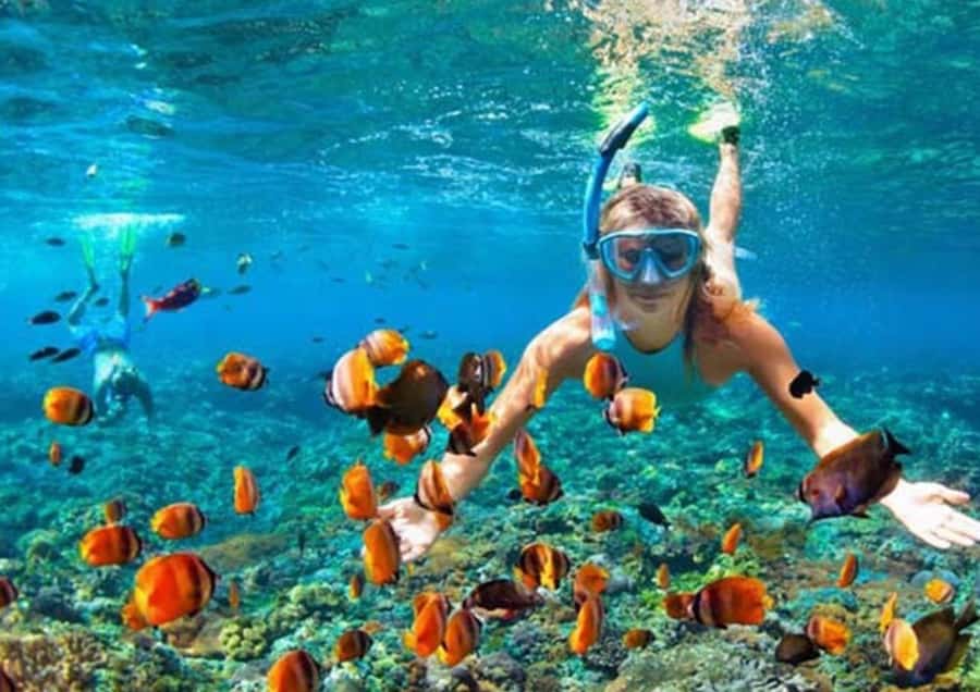 Bali/Nusa Dua: Snorkeling, Glass Boat Ride & Turtle Center - Who should book this experience?