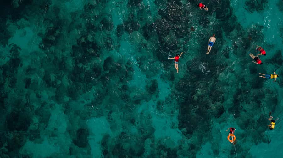 Bali/Nusa Dua: Snorkeling, Glass Boat Ride & Turtle Center - Starting at PT. Bayu Suta Watersport
