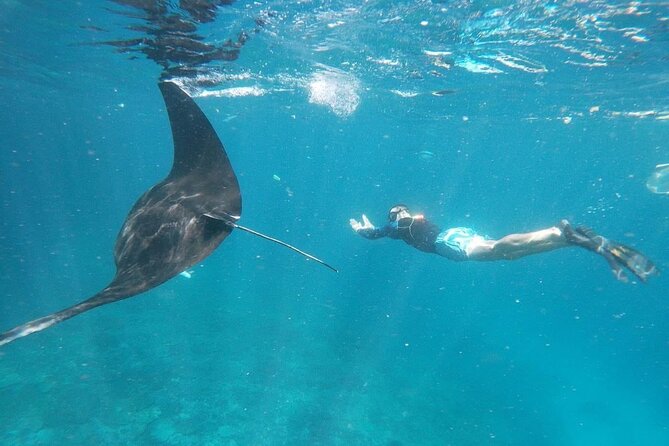 Bali Nusa Penida and Private Snorkeling (Manta Bay, Gamat, Wall) - Three Nusa Penida icons before breakfast is forgotten