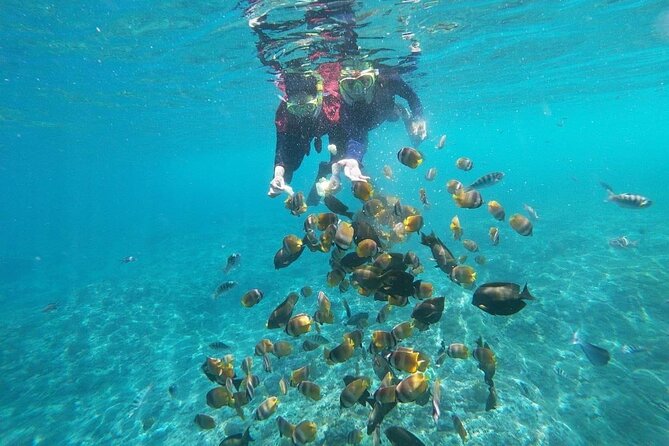Bali Nusa Penida and Private Snorkeling (Manta Bay, Gamat, Wall) - Why the private format matters