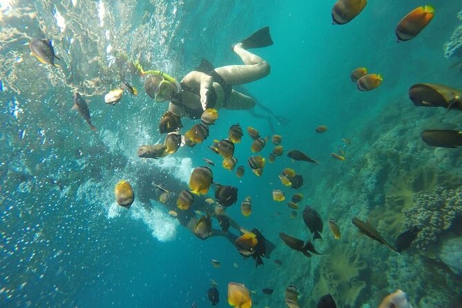 Bali Nusa Penida and Private Snorkeling (Manta Bay, Gamat, Wall) - What the $145 price really covers
