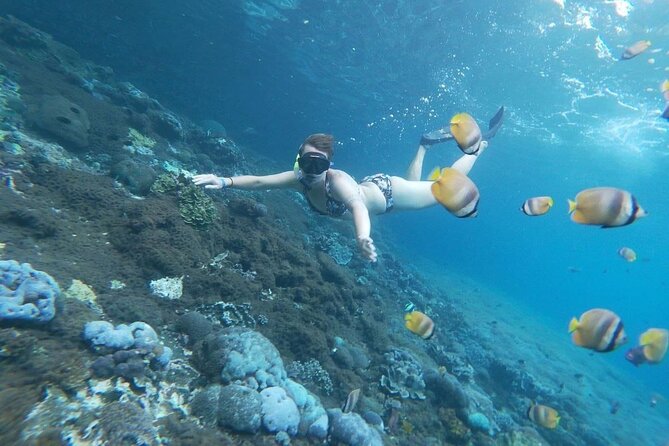 Bali Nusa Penida and Private Snorkeling (Manta Bay, Gamat, Wall) - Who will get the most from this day