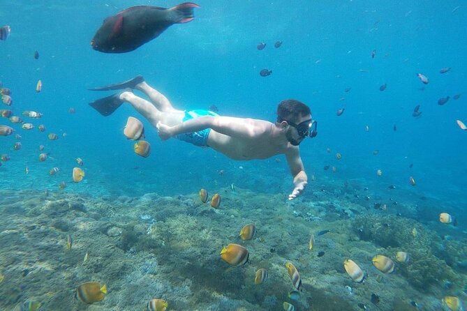 Bali Nusa Penida and Private Snorkeling (Manta Bay, Gamat, Wall) - Should you book this Nusa Penida tour?