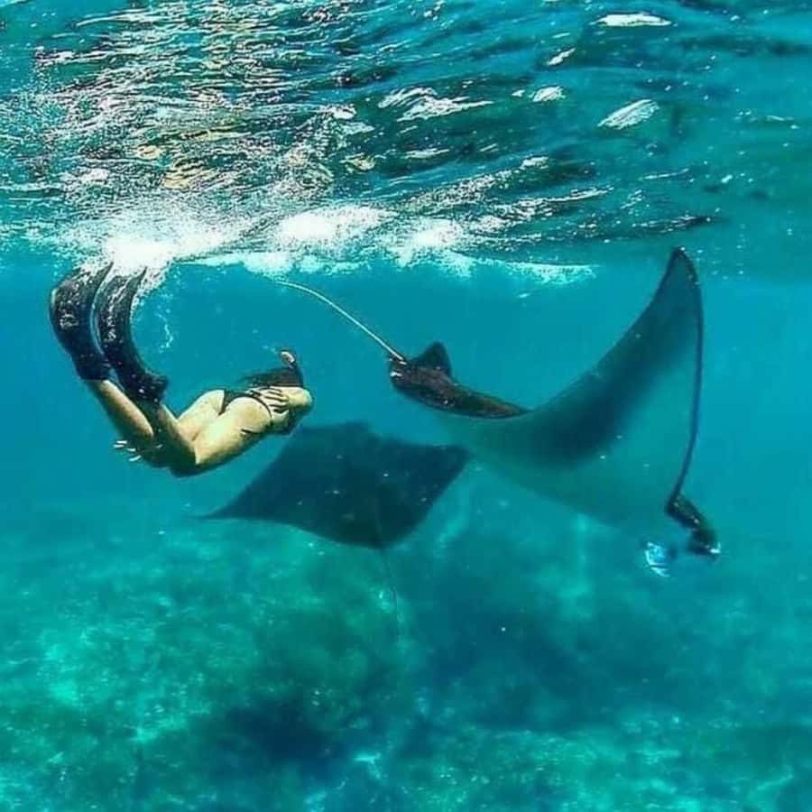 Bali: Nusa Penida Full-Day Trip with Snorkeling - Key points at a glance