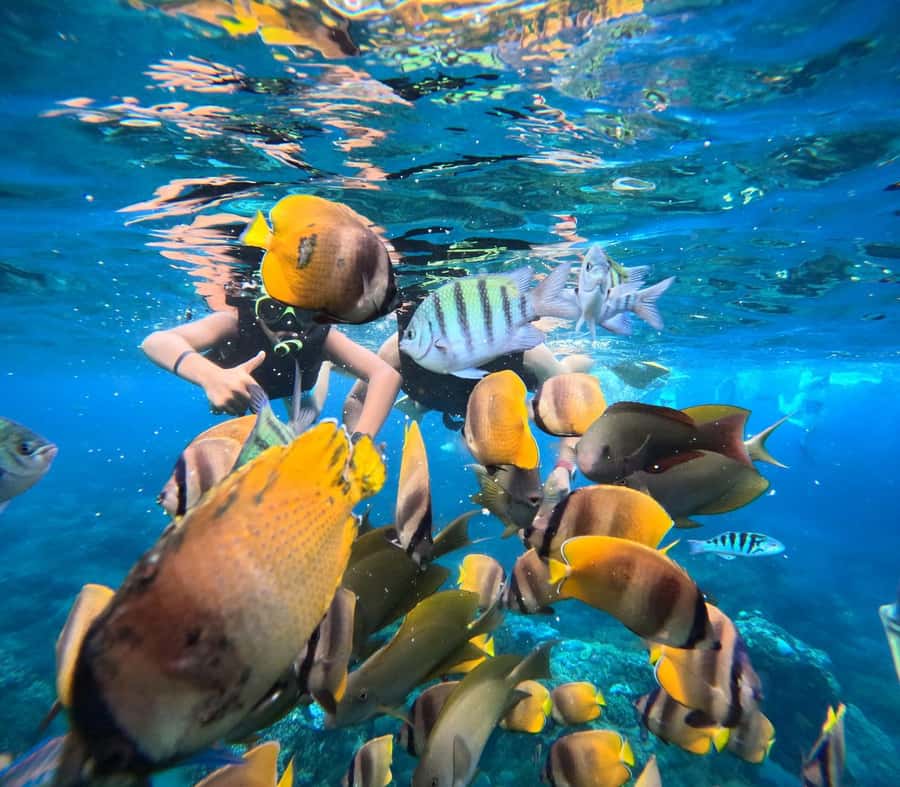Bali: Nusa Penida Full-Day Trip with Snorkeling - Why this $49 day trip can make sense