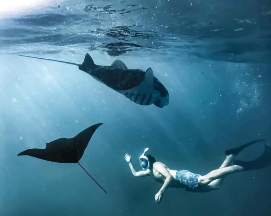 Bali: Nusa Penida Full-Day Trip with Snorkeling - Kelingking Beach and the famous cliff view