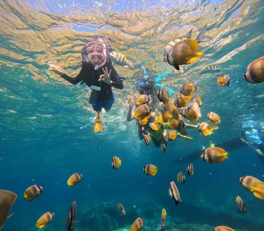 Bali: Nusa Penida Full-Day Trip with Snorkeling - What to pack and what to confirm