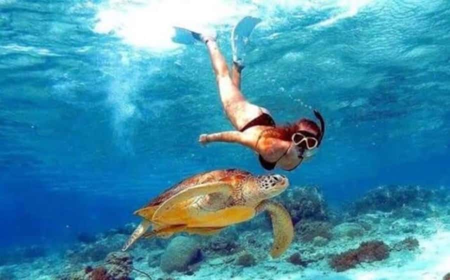 Bali: Nusa Penida Full-Day Trip with Snorkeling - Starting at Sanur and crossing to Nusa Penida