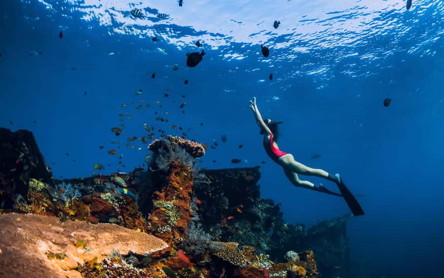 Bali/Nusa Penida: Manta Point Snorkel Boat & West Coast Tour - Gamat Bay and Crystal Bay add variety
