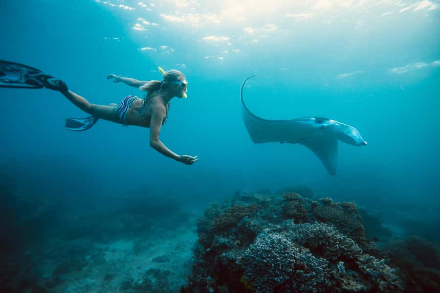 Bali/Nusa Penida: Manta Point Snorkel Boat & West Coast Tour - Lunch is a pause, not necessarily a free meal