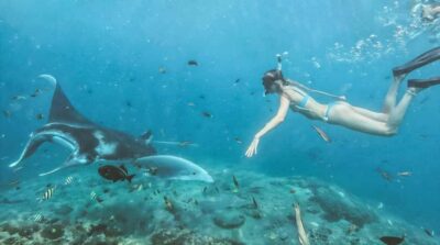 Bali/Nusa Penida: Manta Point Snorkeling & West Coast Tour