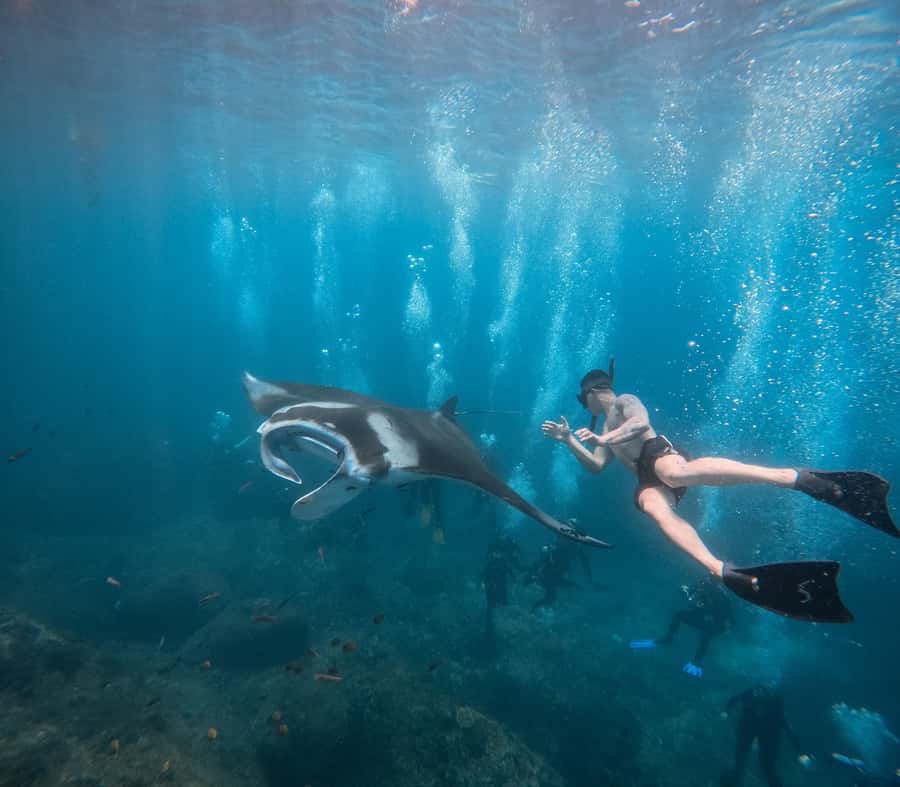 Bali/Nusa Penida: Manta Point Snorkeling & West Coast Tour - The West Coast option: cliffs, beaches, and short walks