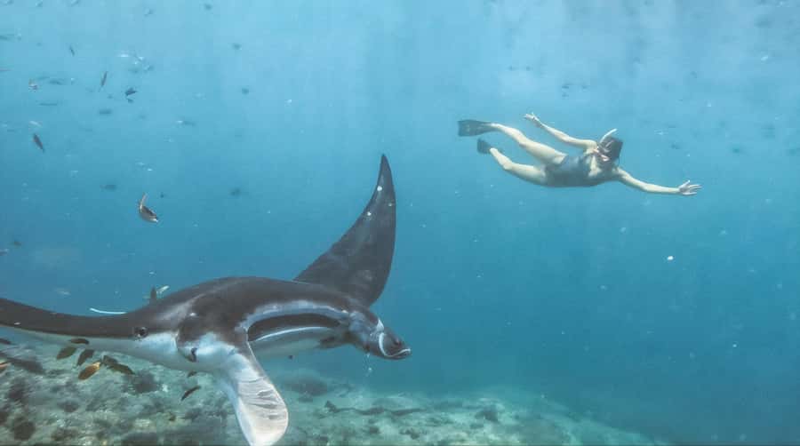 Bali/Nusa Penida: Manta Point Snorkeling & West Coast Tour - Photos, GoPro footage, and what to bring