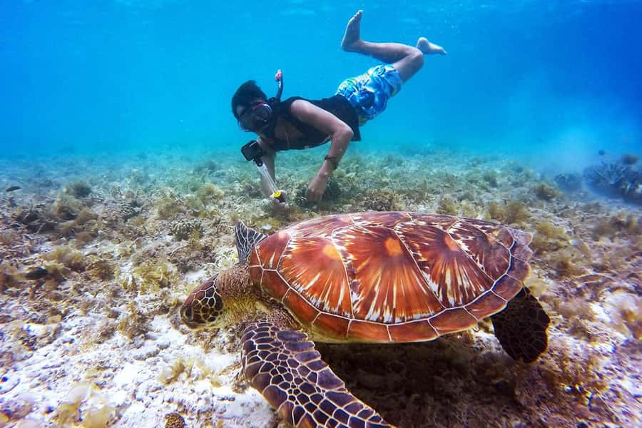 Bali: Nusa Penida Speedboat Trip with Snorkeling and Tour - Manta Bay and Manta Point: the big reason to go