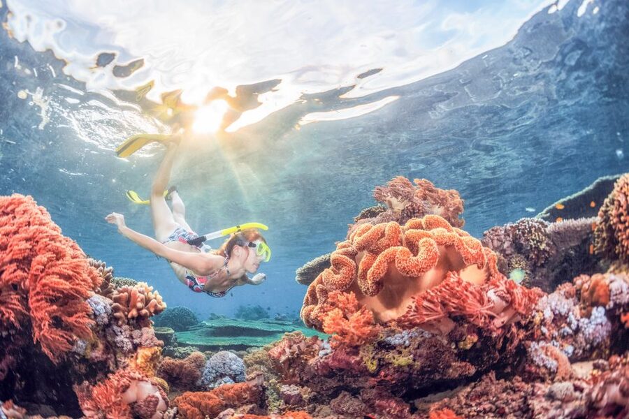 Bali: Padangbai Blue Lagoon Snorkeling Day Trip - Should you book the Blue Lagoon trip?