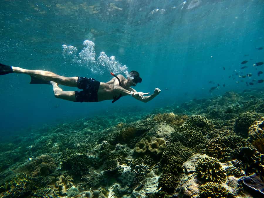 Bali: Snorkeling Blue Lagoon 2 Spot & Lunch optional Village - Two East Bali reefs, two different moods