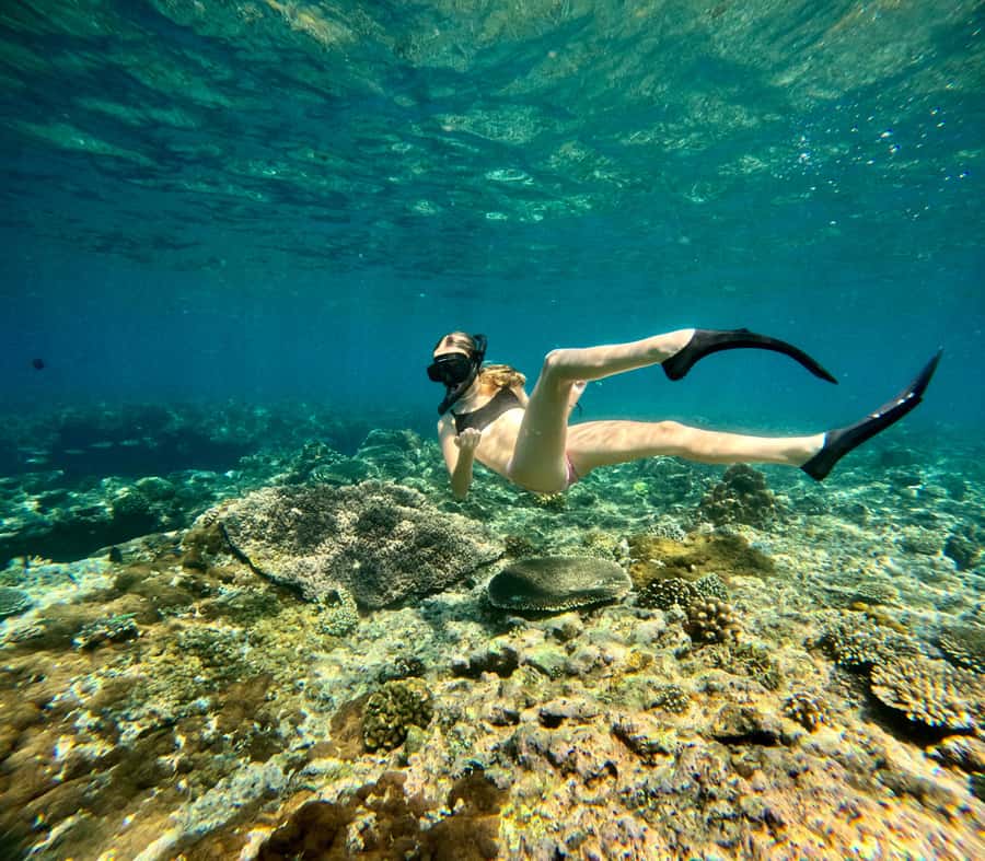 Bali: Snorkeling Blue Lagoon 2 Spot & Lunch optional Village - Starting at Topi Inn in Padang Bai