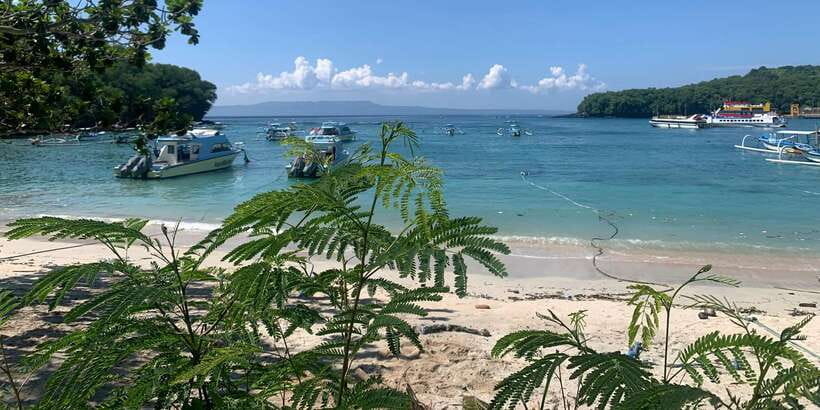 Bali: Snorkeling on 2 spots with Lunch and Transport - Key points to know before booking