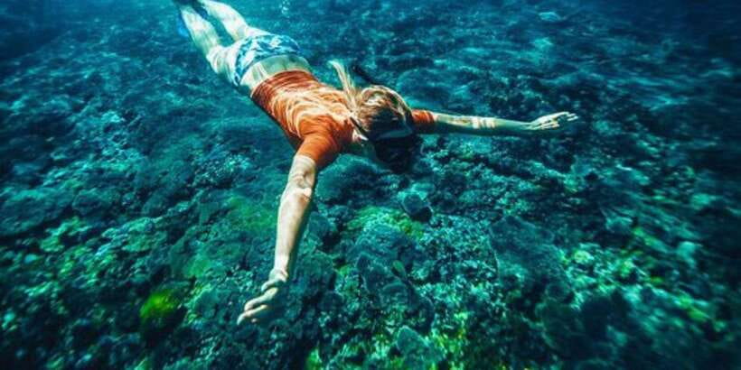Bali: Snorkeling on 2 spots with Lunch and Transport - Booking tips that make the day easier