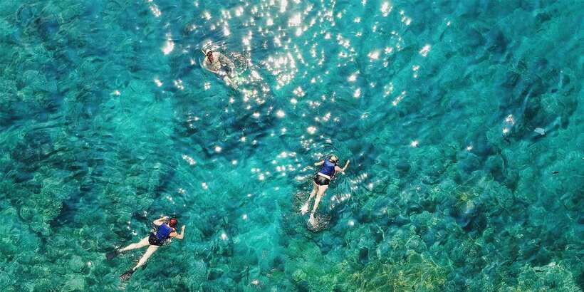 Bali: Snorkeling on 2 spots with Lunch and Transport - Blue Lagoon: colorful fish with a crowded edge