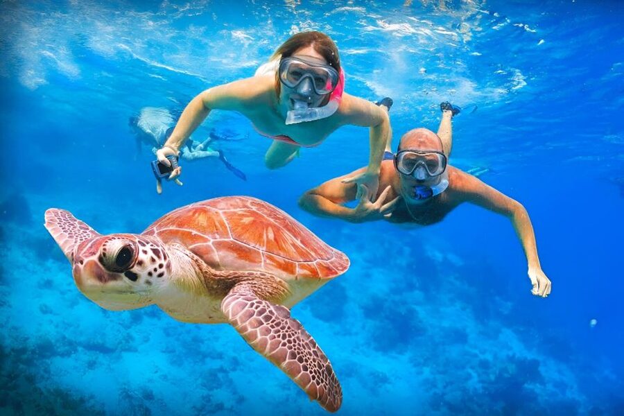 Bali: Snorkeling on 2 spots with Lunch and Transport - Tanjung Jepun: the calmer second swim