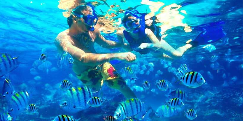 Bali: Snorkeling on 2 spots with Lunch and Transport - Equipment, safety, and comfort in the water