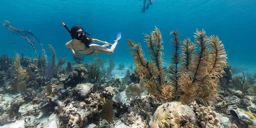Bali: Snorkeling on 2 spots with Lunch and Transport - The drivers are part of the value