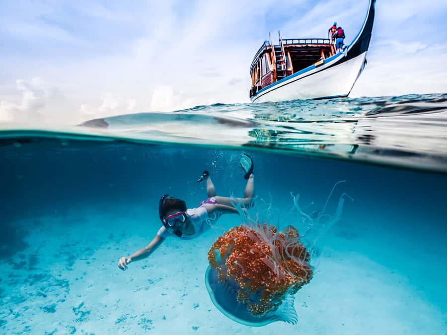 Bali: Ubud ATV and Blue Lagoon Snorkeling Tour with Lunch - Why this land-and-sea pairing works