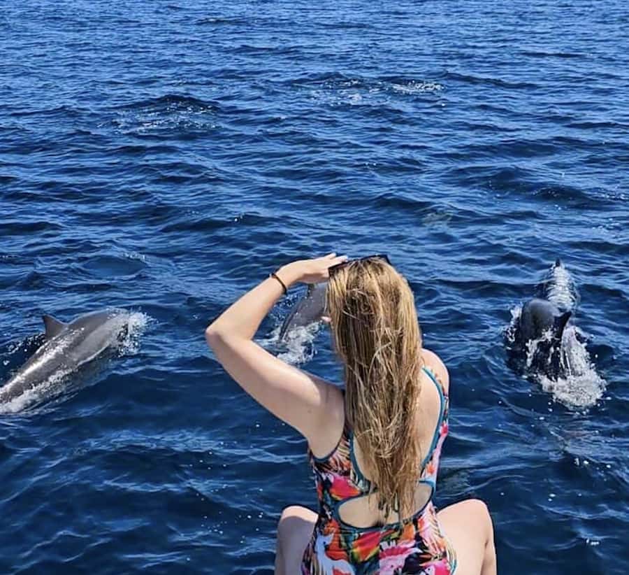 Bali: Watching Dolphin, Swimming & Snorkeling Tour - The early boat ride and sunrise sightings
