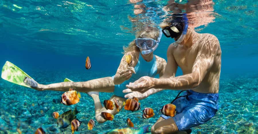 Bali: Watching Dolphin, Swimming & Snorkeling Tour - Guides who shape the morning